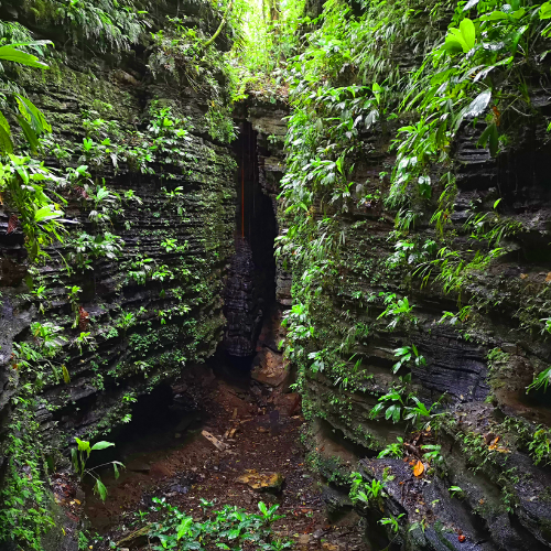 13. El Churo  Geoparque Napo Sumaco