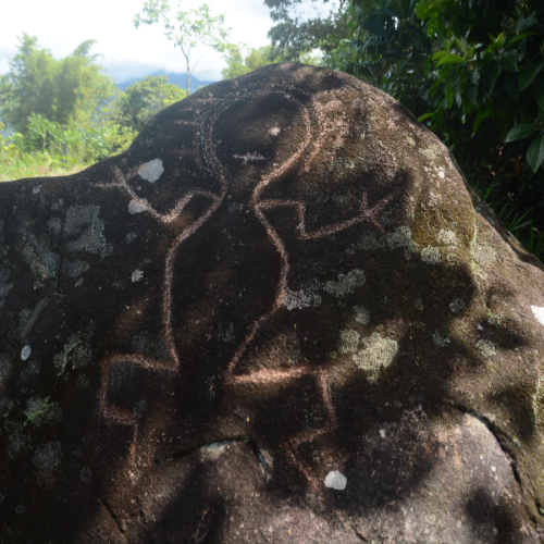 15. Petroglifos de Cotundo  Geoparque Napo Sumaco