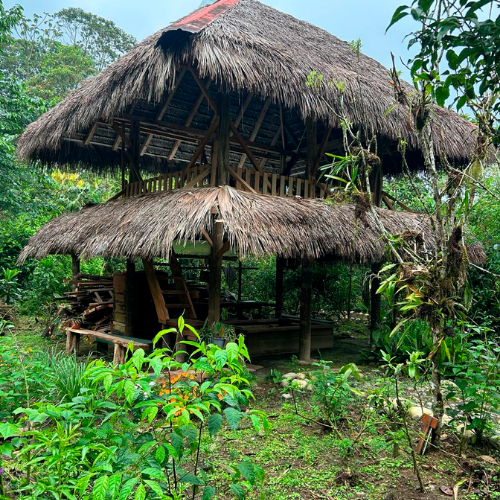 38. Jardín de la Virgen Geoparque Napo Sumaco