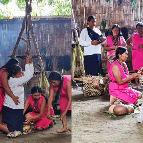 40. Medicina y partos ancestrales Amupakin Geoparque Napo Sumaco