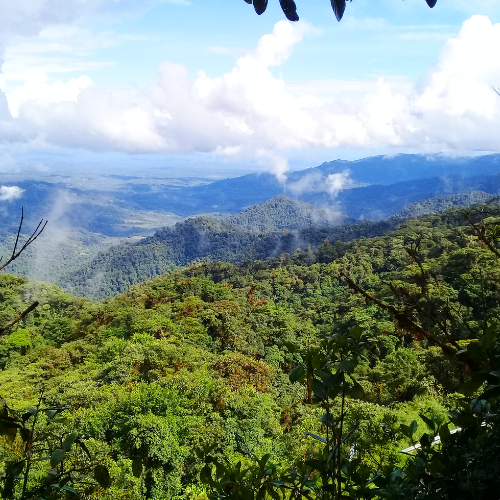 41. Sendero Jumandy y Ruta de los Arrieros Geoparque Napo Sumaco