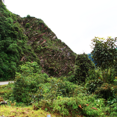 6. Granito de los Guacamayos y Piedra del Gringo  Geoparque Napo Sumaco