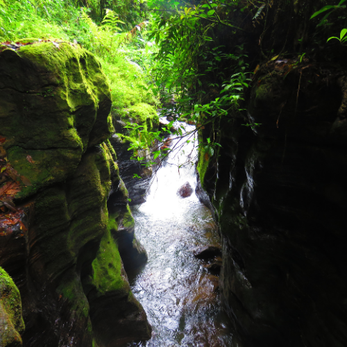 7. Gran Cañón del Río Ñachi Yacu  Geoparque Napo Sumaco